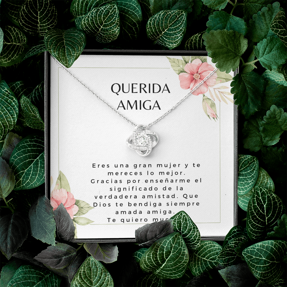 Regalo Para Amiga, Querida Amigas Gift, Collar de regalo para la mejor amiga, Collar amiga, Friend Necklace Gift
